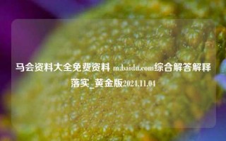 马会资料大全免费资料 m.baidu.com综合解答解释落实_黄金版2024.11.04