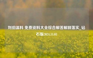 刘伯温料 免费资料大全综合解答解释落实_钻石版2024.11.03