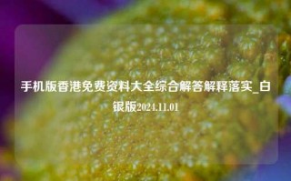 手机版香港免费资料大全综合解答解释落实_白银版2024.11.01