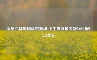 沃尔弗林集团盘中异动 下午盘股价大涨5.03%报16.27美元