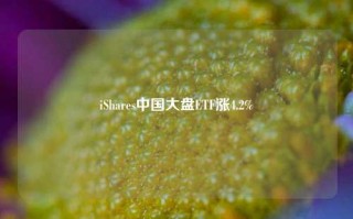 iShares中国大盘ETF涨4.2%