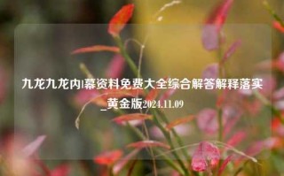 九龙九龙内l幕资料免费大全综合解答解释落实_黄金版2024.11.09