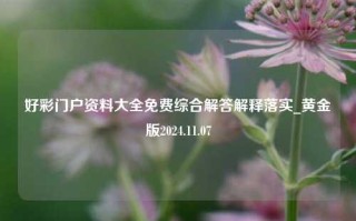 好彩门户资料大全免费综合解答解释落实_黄金版2024.11.07