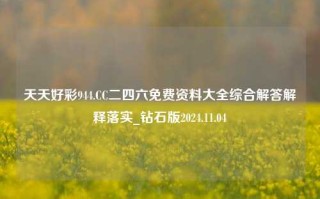 天天好彩944.CC二四六免费资料大全综合解答解释落实_钻石版2024.11.04