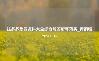 钱多多免费资料大全综合解答解释落实_青铜版2024.11.04