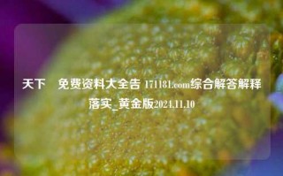 天下釆免费资料大全告 171181.com综合解答解释落实_黄金版2024.11.10