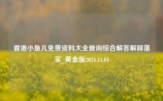 香港小鱼儿免费资料大全查询综合解答解释落实_黄金版2024.11.04