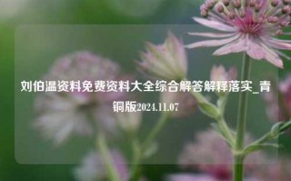 刘伯温资料免费资料大全综合解答解释落实_青铜版2024.11.07