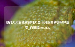 澳门天天彩免费资料大全118开综合解答解释落实_白银版2024.11.07