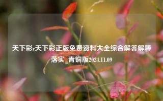 天下彩r天下彩正版免费资料大全综合解答解释落实_青铜版2024.11.09