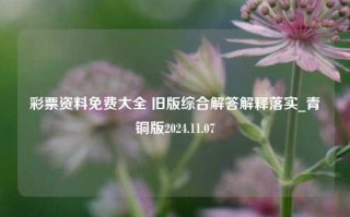 彩票资料免费大全 旧版综合解答解释落实_青铜版2024.11.07