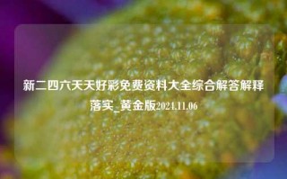 新二四六天天好彩免费资料大全综合解答解释落实_黄金版2024.11.06