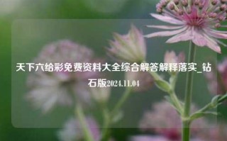 天下六给彩免费资料大全综合解答解释落实_钻石版2024.11.04