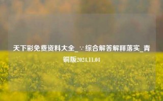 天下彩免费资料大全_∵综合解答解释落实_青铜版2024.11.04