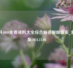 打开4949免费资料大全综合解答解释落实_青铜版2024.11.08