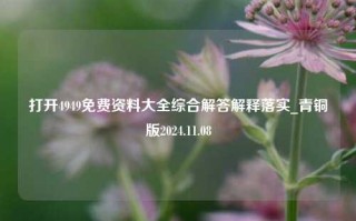 打开4949免费资料大全综合解答解释落实_青铜版2024.11.08