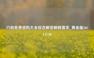 六和免费资料大全综合解答解释落实_黄金版2024.11.06