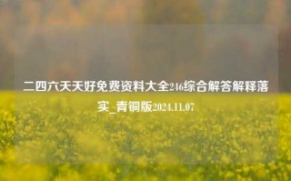 二四六天天好免费资料大全246综合解答解释落实_青铜版2024.11.07