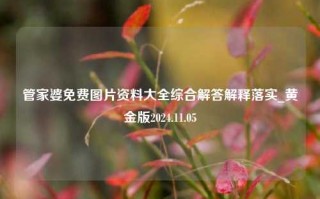 管家婆免费图片资料大全综合解答解释落实_黄金版2024.11.05