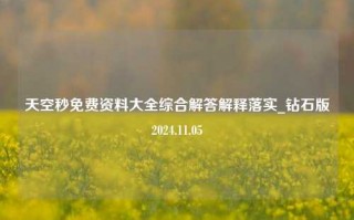 天空秒免费资料大全综合解答解释落实_钻石版2024.11.05