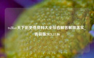 tx28.cc天下彩免费资料大全综合解答解释落实_青铜版2024.11.06