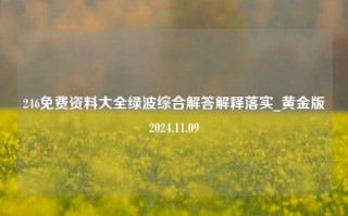 246免费资料大全绿波综合解答解释落实_黄金版2024.11.09