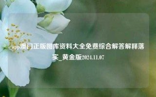 app澳门正版图库资料大全免费综合解答解释落实_黄金版2024.11.07