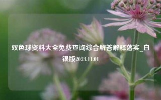 双色球资料大全免费查询综合解答解释落实_白银版2024.11.01