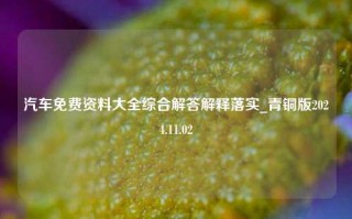 汽车免费资料大全综合解答解释落实_青铜版2024.11.02