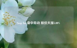 Snap Inc.盘中异动 股价大涨5.00%