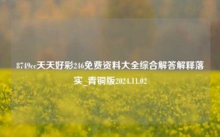 8749cc天天好彩246免费资料大全综合解答解释落实_青铜版2024.11.02