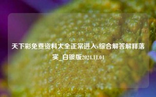 天下彩免费资料大全正常进入v综合解答解释落实_白银版2024.11.04