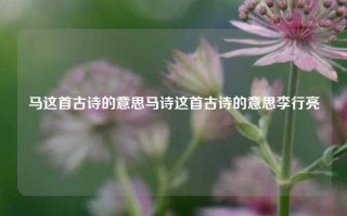 马这首古诗的意思马诗这首古诗的意思李行亮