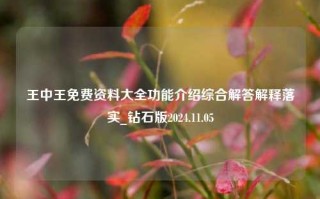 王中王免费资料大全功能介绍综合解答解释落实_钻石版2024.11.05