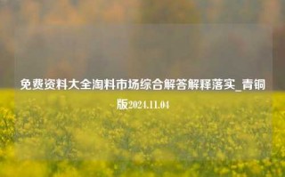 免费资料大全淘料市场综合解答解释落实_青铜版2024.11.04