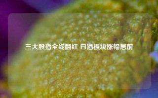 三大股指全线翻红 白酒板块涨幅居前