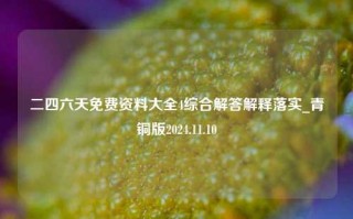 二四六天免费资料大全4综合解答解释落实_青铜版2024.11.10