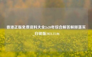 香港正版免费资料大全2o20年综合解答解释落实_白银版2024.11.06