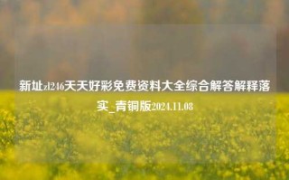 新址zl246天天好彩免费资料大全综合解答解释落实_青铜版2024.11.08