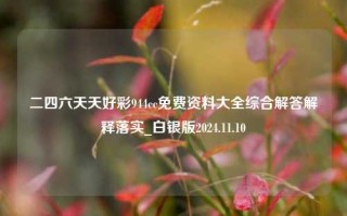 二四六天天好彩944cc免费资料大全综合解答解释落实_白银版2024.11.10