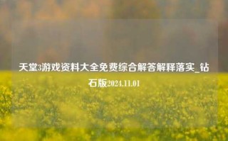 天堂3游戏资料大全免费综合解答解释落实_钻石版2024.11.01