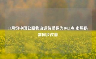 10月份中国公路物流运价指数为105.1点 市场供需同步改善