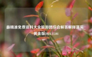 最精准免费资料大全旅游团综合解答解释落实_黄金版2024.11.04