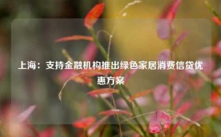 上海：支持金融机构推出绿色家居消费信贷优惠方案