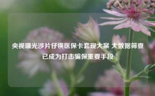 央视曝光涉片仔癀医保卡套现大案 大数据筛查已成为打击骗保重要手段