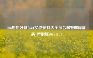 246期期好彩743cC免费资料大全综合解答解释落实_青铜版2024.11.10