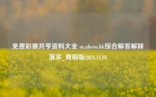 免费彩票共亨资料大全 m.abcoo.hk综合解答解释落实_青铜版2024.11.01