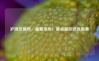 沪深交易所，最新发布！重点监控这些股票