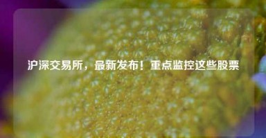 沪深交易所，最新发布！重点监控这些股票