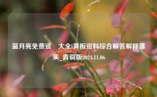 蓝月亮免费资枓大全l黄板资料综合解答解释落实_青铜版2024.11.06